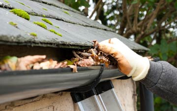gutter cleaning East Norton, Leicestershire